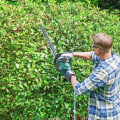 Electric Trimmers: The Essential Tool for Every DIY Gardener