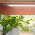 Proper Lighting Schedules for Successful Indoor Gardening