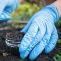 Soil Testing and Amendments for DIY Gardening: A Comprehensive Guide