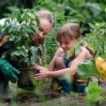 10 Natural Pest Deterrents for Your DIY Garden