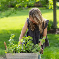 Growing Herbs in Small Spaces: Tips and Techniques for Do-It-Yourself Gardeners