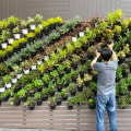 A Beginner's Guide to Creating a Vertical Herb Garden