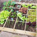 Square Foot Gardening: Tips and Techniques for DIY Gardeners