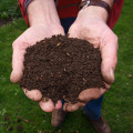 Vermicomposting: A Sustainable Solution for DIY Organic Gardening