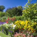 Perennial vs Annual Flowers: Which is Right for Your DIY Garden?