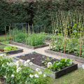 The Benefits of Crop Rotation for Your Organic Garden