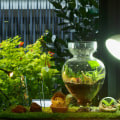 Choosing the Right Grow Lights for Your Indoor Garden
