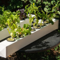 Hydroponic Herb Systems: A Complete Guide for DIY Gardeners