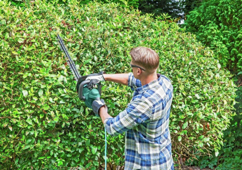 Electric Trimmers: The Essential Tool for Every DIY Gardener