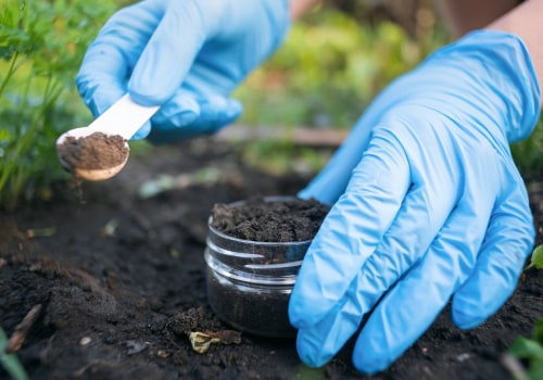Soil Testing and Amendments for DIY Gardening: A Comprehensive Guide