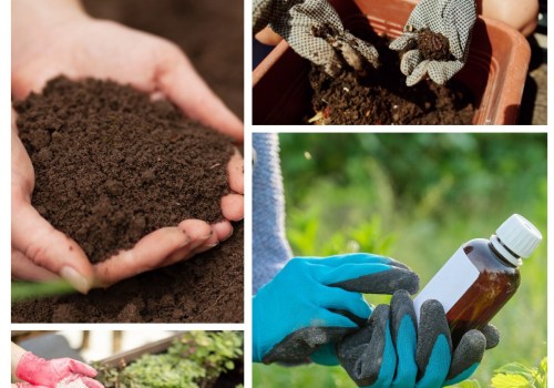 Organic Fertilizers: The Key to a Thriving DIY Garden