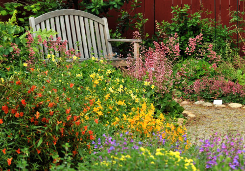 How to Attract Pollinators to Your Garden: A Comprehensive Guide