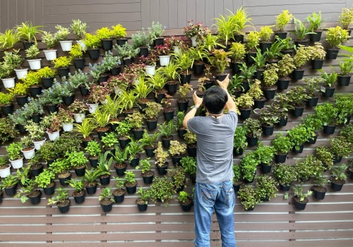 A Beginner's Guide to Creating a Vertical Herb Garden