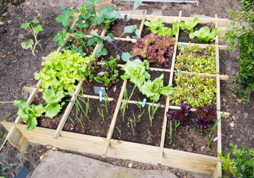 Square Foot Gardening: Tips and Techniques for DIY Gardeners