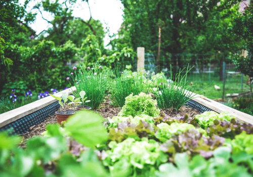 The Ultimate Guide to Vegetable Gardens