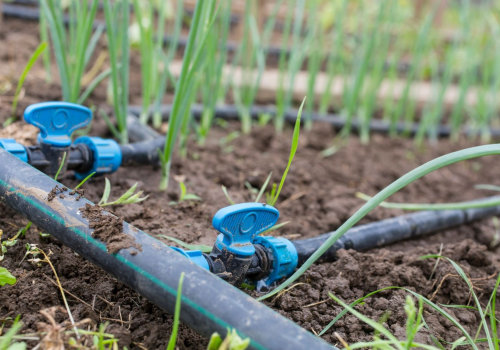 The Power of Drip Irrigation Systems: A Complete Guide for Do-It-Yourself Gardeners